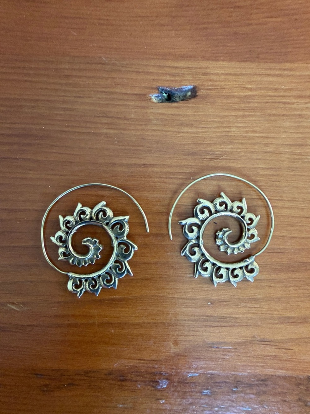 Golden Spiral Fiddlehead Fern Hoop Earrings - Unbranded